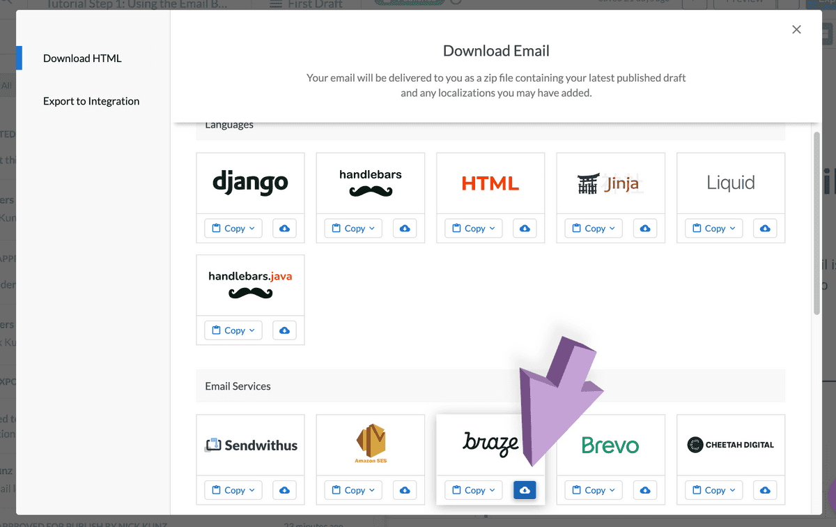 Download your email in Liquid for Braze